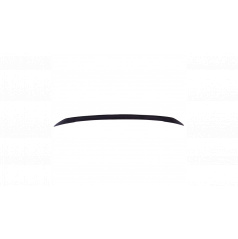 Zadní křídlo Tesla Model 3 Lip Gloss Black