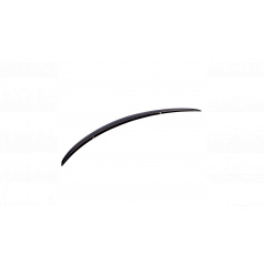 Zadní křídlo Tesla Model 3 Lip Gloss Black