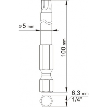 Sada bitů 1/4" 2 ks TORX L=100 mm T10, T25